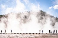 La nature dans le parc national de Yellowstone par Nicole Geerinck Aperçu