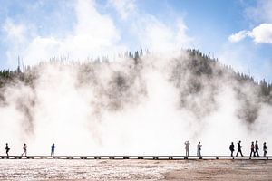 Die Natur im Yellowstone-Nationalpark von Nicole Geerinck