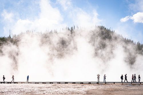 Natuur in Yellowstone National Park