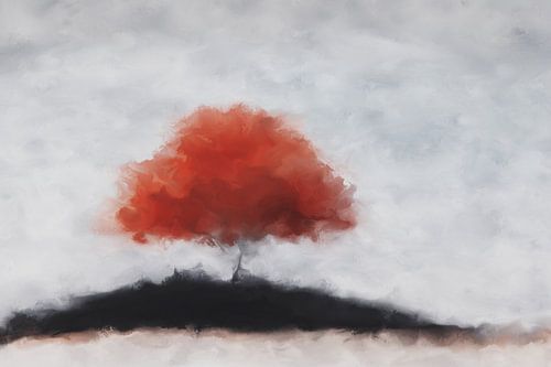 Érable japonais