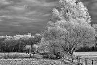 After a snow shower.