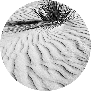 Duinen, White Sands National Monument | Monochroom. van Melanie Viola