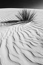 Duinen, White Sands National Monument | Monochroom. van Melanie Viola thumbnail