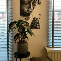 Photo de nos clients: Bouddha par Jacqueline Lodder, sur alu-dibond