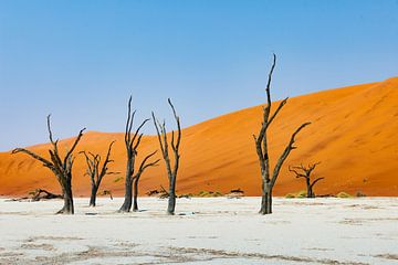 Namibië: een land van uitersten en adembenemende schoonheid. van Patrick Fotografeert