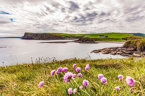 Kust bij Pennan in Aberdeenshire - Schotland