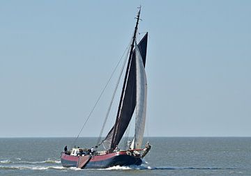 Het bruine vloot schip Lotus van Piet Kooistra