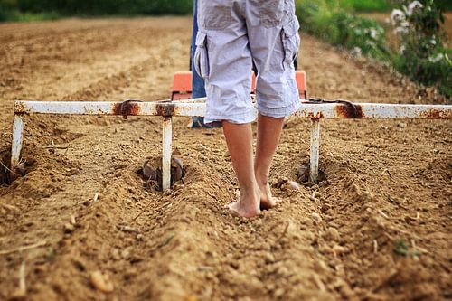 Ploegen met oude ploegapparatuur op handbediening