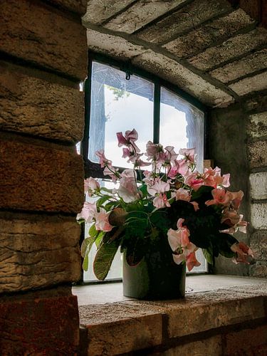 Stilleben mit Lathyrus