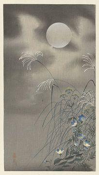 Grassen en bloemen bij volle maan, Ohara Koson