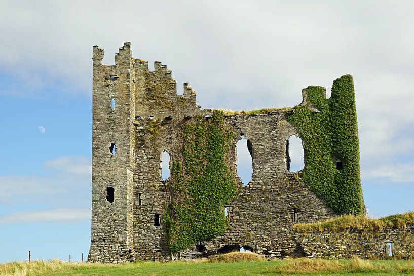 Ballycarbery Castle in Irland von Babetts Bildergalerie