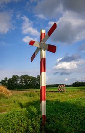 Spoorwegovergang van Artist Impression of Nature