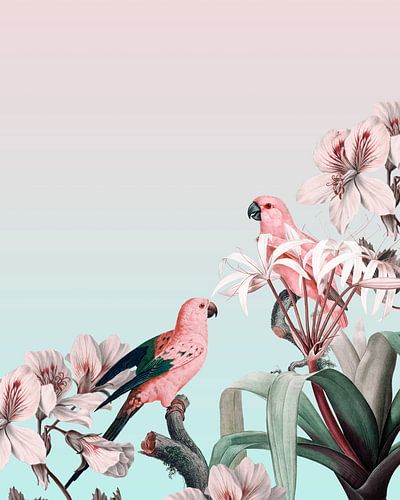 In de tropische tuin