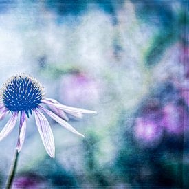 Purple sun hat by ahafineartimages