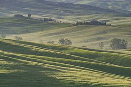 Val d'Orcia von Walter G. Allgöwer