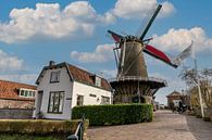 Windmühle der Windotter in IJsselstein von Peter Bontan Fotografie Miniaturansicht