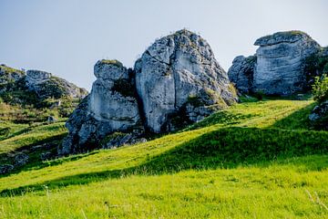 Felsen auf dem Berg von Jesper Drenth Fotografie