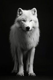 Wolf von Poster Art Shop