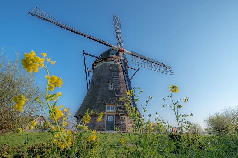 Poldermolen Waardenburg von Moetwil en van Dijk - Fotografie