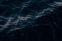 Fjorde (I)