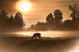 Landschaft von Carla Eekels