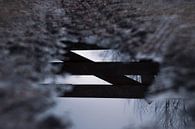 Reflection of fence in puddle by Renske van Lierop thumbnail