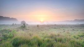 Colorful morning Kampina by Ruud Engels