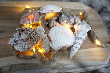 shells lights 2 by Kimberly Van Muylder
