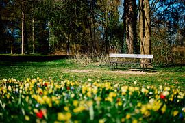 Platz an der Sonne | Bad Salzuflen 04/2025