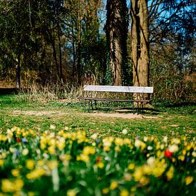 Plaats in de zon | Bad Salzuflen 04/2025 van Momentaufnahme | Marius Ahlers