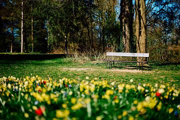 Plaats in de zon | Bad Salzuflen 04/2025