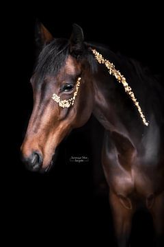paard met bladgoud losstaand van Dominique Barendregt