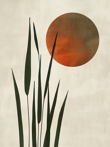 Harmonie in vorm en licht