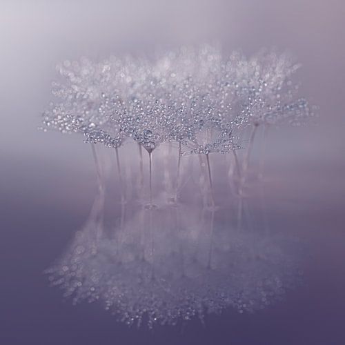 Samen alleen in de paarse leegte