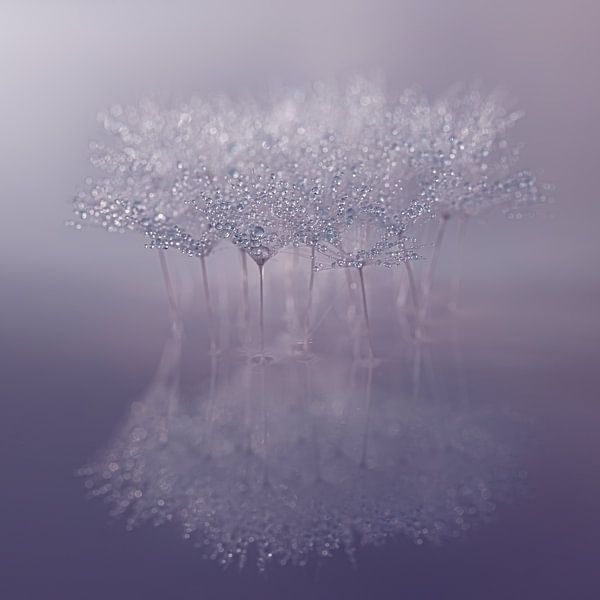 Together alone in the purple void by Marjolijn van den Berg