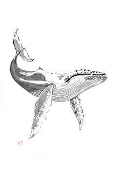 walvis van Péchane Sumie