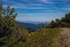 View into the Rhine valley from Elsässer Blechen by Alexander Wolff