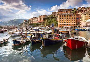 Vissersboten in haven van Camogli