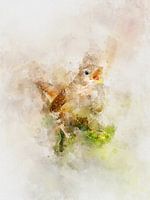 Our feathered friends: Wren