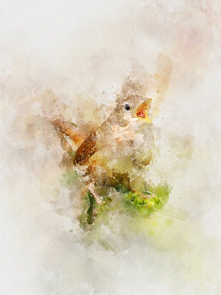 Unsere gefiederten Freunde: Zaunkönig von Christian Müringer