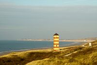 De duinen van Zoutelande gezien vanaf Dishoek
