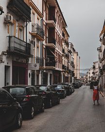 Lady in Red by Milad Hussin