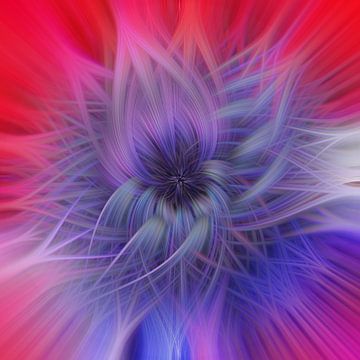 Flower of light. Abstract Geometric Fireworks. Purple and Red. by Dina Dankers