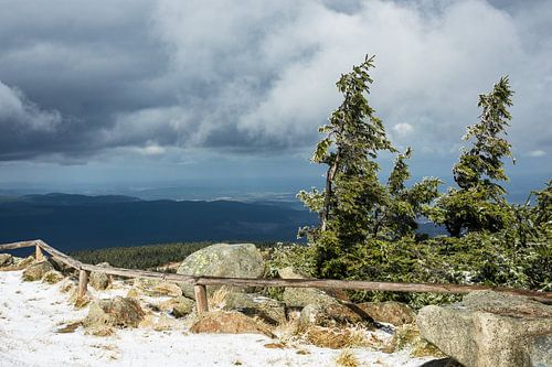 Landschaft mit Schnee auf dem Brocken im Harz