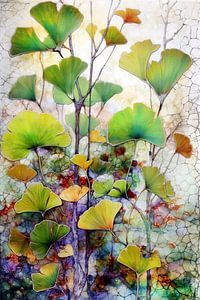 Ginko Biloba-Blätter #ginko