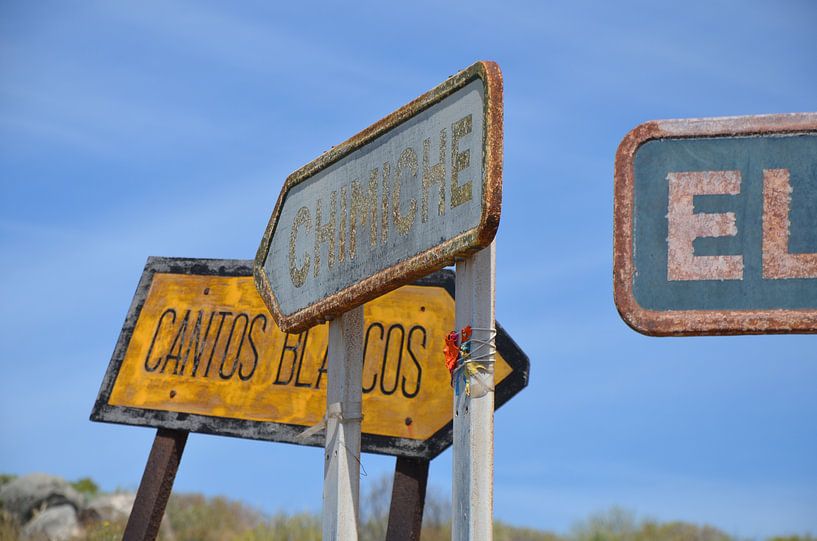 Signs by Corinna Vollertsen