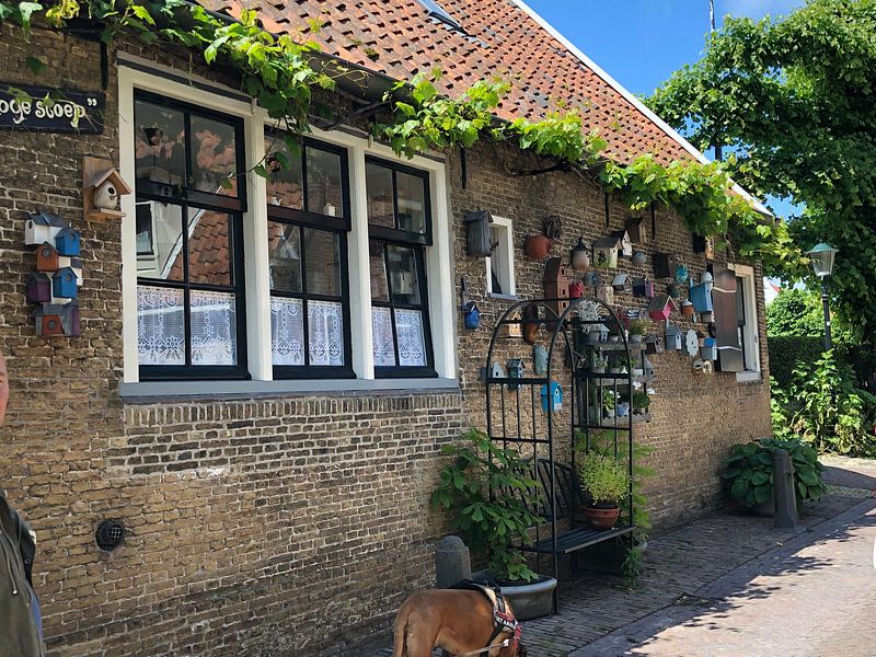 Fassade Vogelhäuschen von tania mol