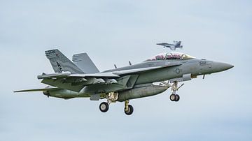 Landende U.S. Navy Boeing EA-18G Growler. van Jaap van den Berg
