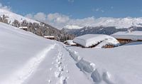 Staffelalp in het Landwassertal, Davos, Graubünden, Zwitserland van Rene van der Meer thumbnail