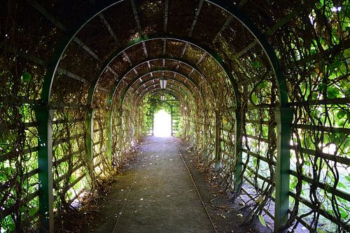 Overdekte loopbrug in de bloementuin